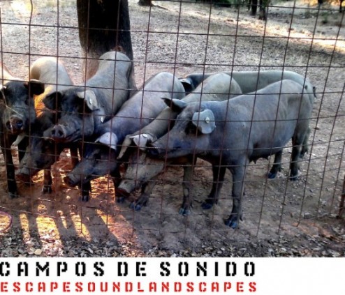 13-01-Campos-de-Sonido-Huelva